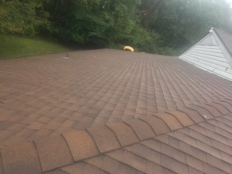 Professional Shingle Roofing
