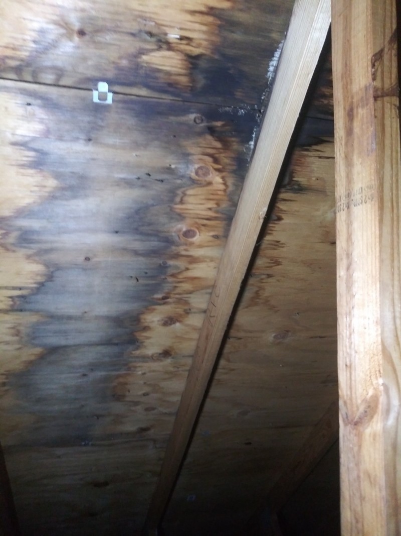 Quality Roof Leak Repair