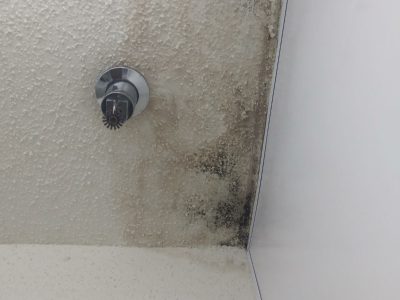 Roof Leak Repair Services
